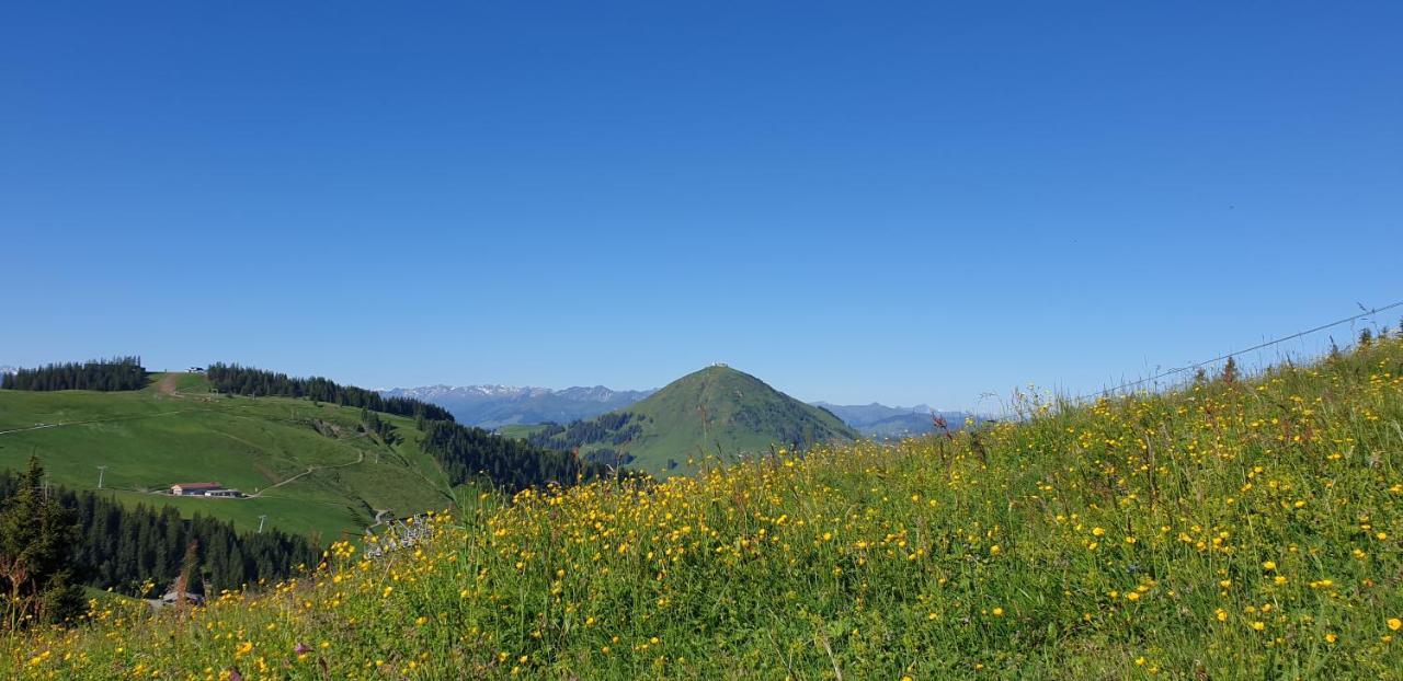 Ferienwohnung Sappl Scheffau am Wilden Kaiser Bagian luar foto