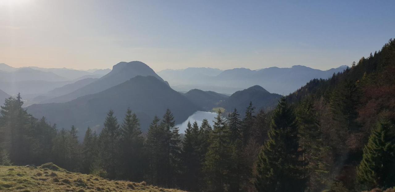 Ferienwohnung Sappl Scheffau am Wilden Kaiser Bagian luar foto