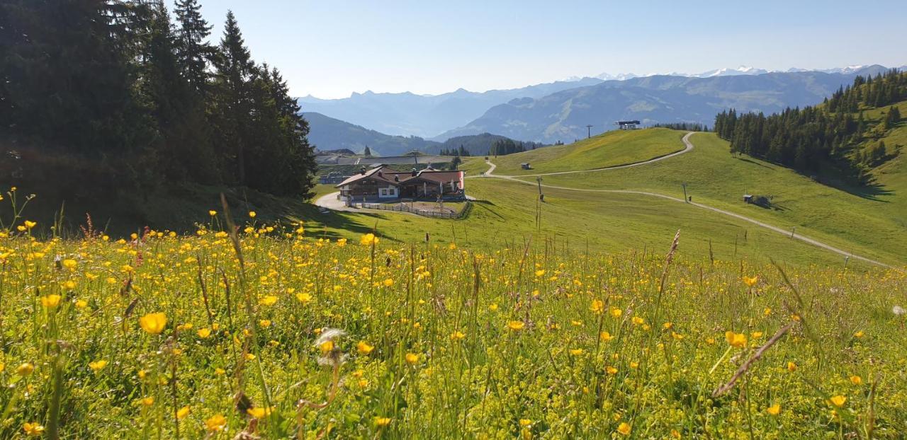 Ferienwohnung Sappl Scheffau am Wilden Kaiser Bagian luar foto
