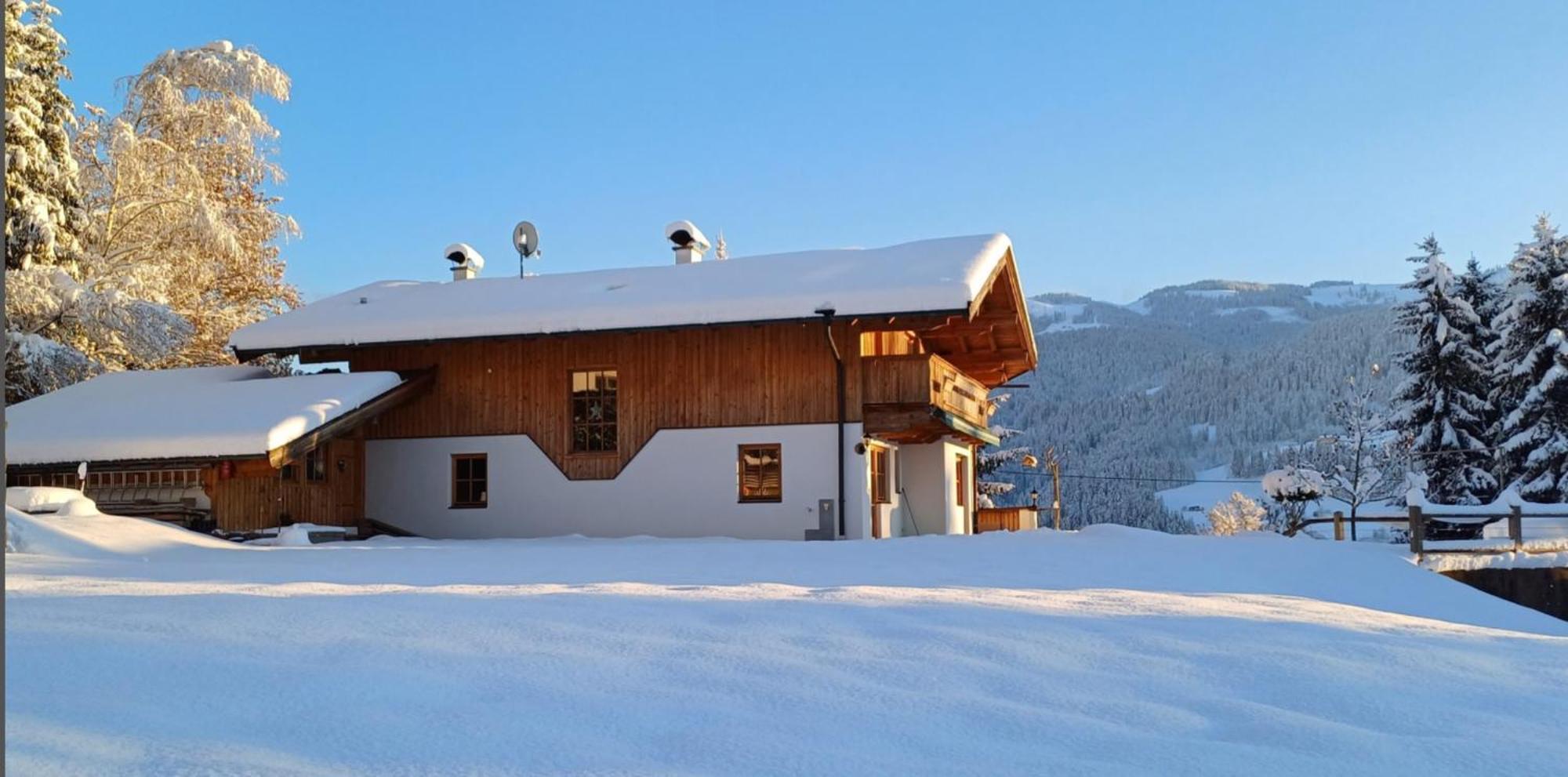 Ferienwohnung Sappl Scheffau am Wilden Kaiser Bagian luar foto