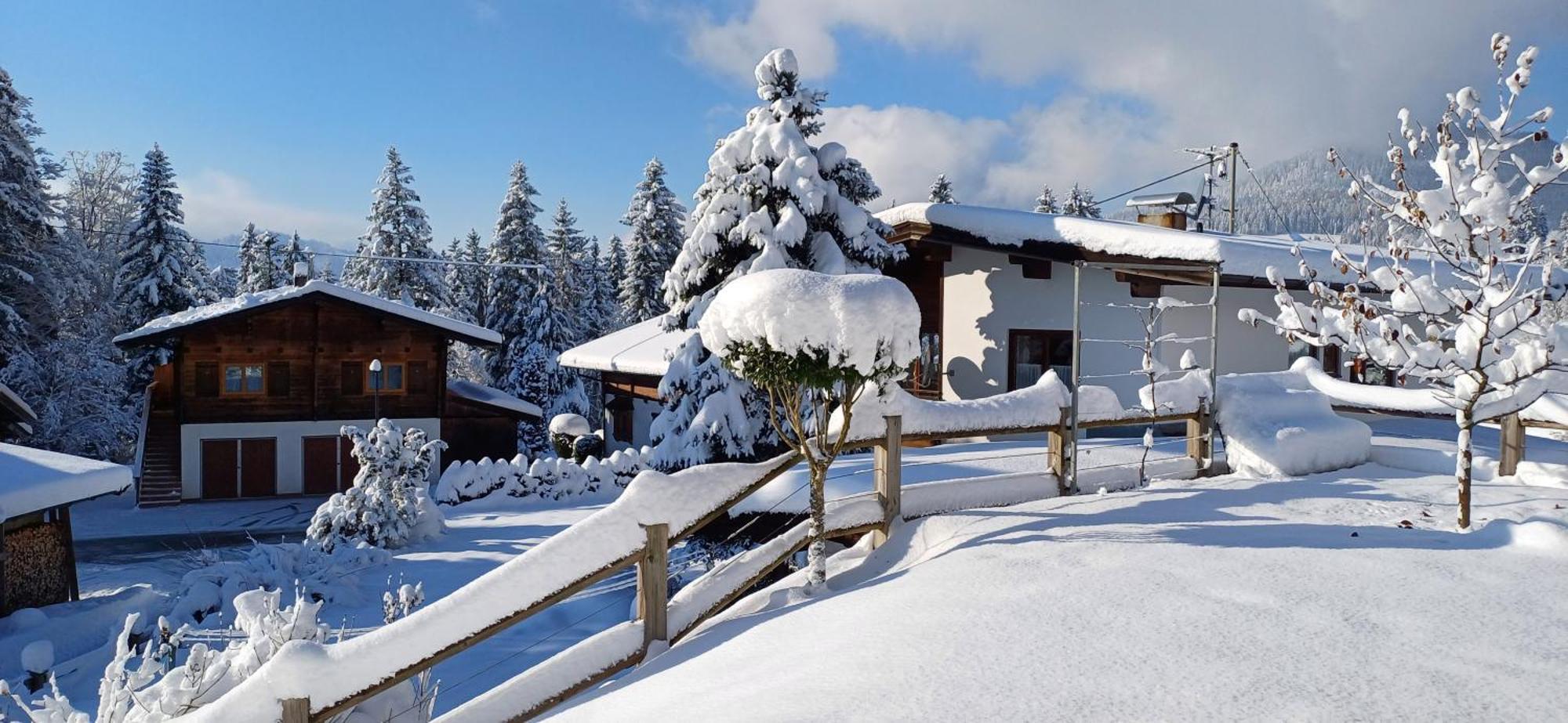Ferienwohnung Sappl Scheffau am Wilden Kaiser Bagian luar foto